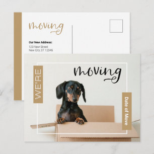 Oro Estamos mudando perro de Dachshund en postal d