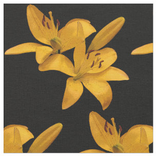 Oro y tela amarilla de la flor del lirio