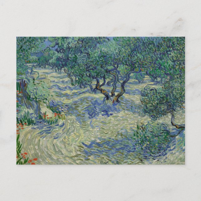 Orquesta de Olivos por postal de Vincent Van Gogh (Anverso)
