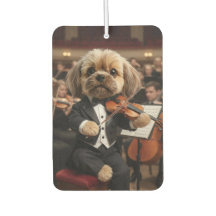 Orquesta de Violinista Shih Tzu Ambientador Person