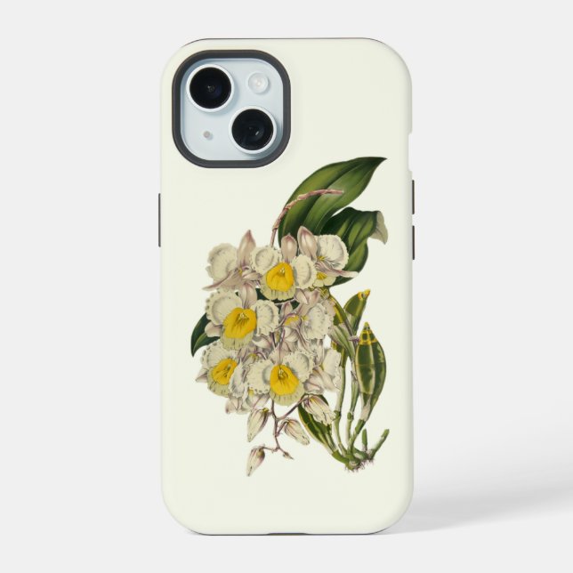 Orquídea (Reverso )