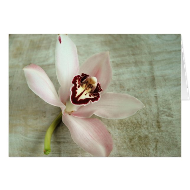 Orquídea (Anverso (Horizontal))