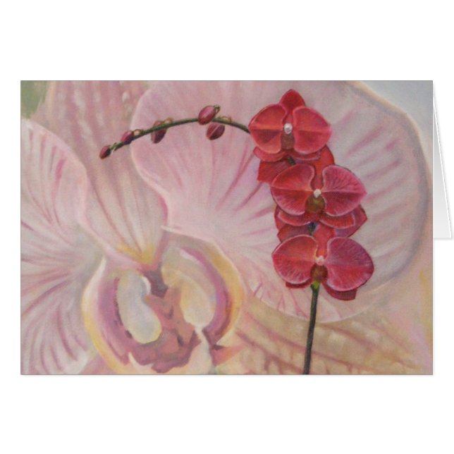 Orquídea (Anverso (Horizontal))