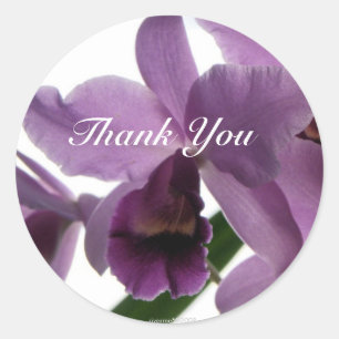 Orquídea 1 Gracias/ Pegatinas
