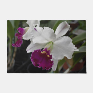 Orquídea Alfombra Entrada Blanca Purpura