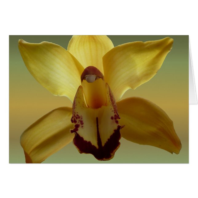 Orquídea amarilla (Anverso (Horizontal))