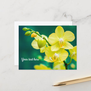 Orquídea Amarilla en Tarjeta Postal Verde