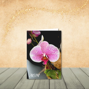 Orquídea blanca con espectros rosados, tarjetas de