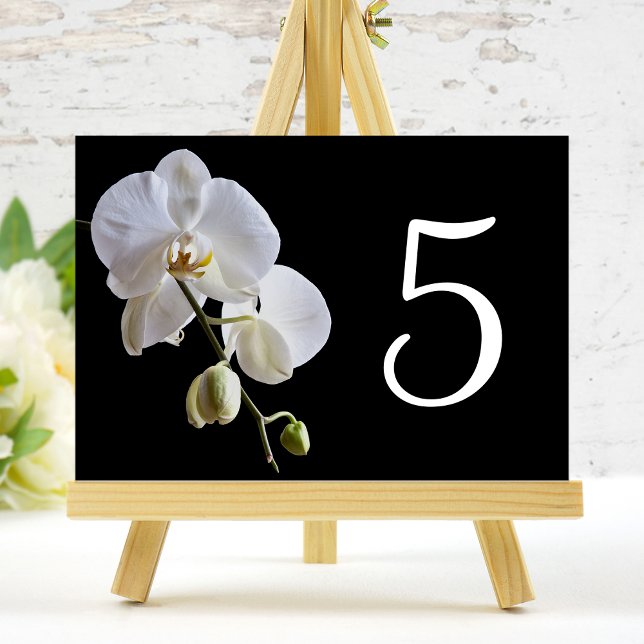 Orquídea blanca en números de mesa negros (Subido por el creador)