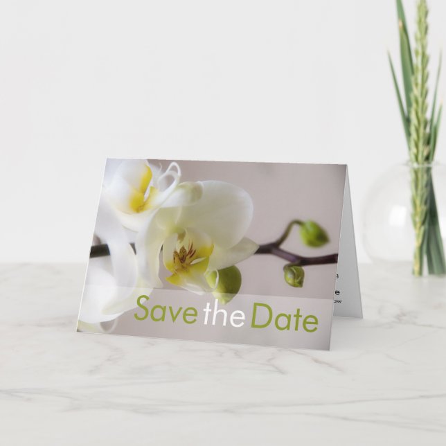 Orquídea Blanca Guardar la tarjeta de fecha (Anverso)