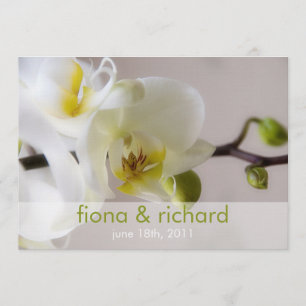 Orquídea blanca • Invitación de la boda