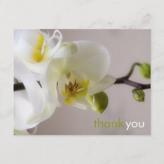 Orquídea Blanca ・ Tarjeta de agradecimiento
