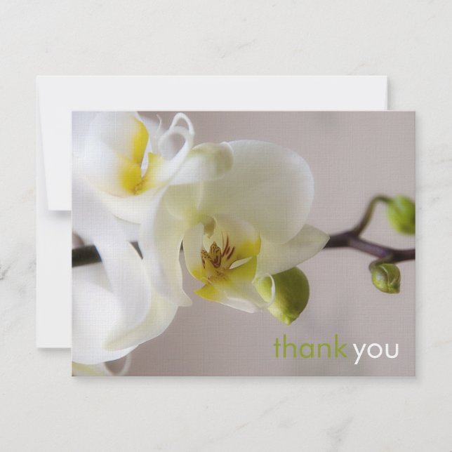 Orquídea Blanca ・ Tarjeta de agradecimiento (Anverso)