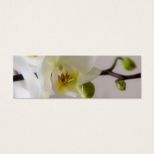 Orquídea Blanca ・ Tarjeta de perfil de sitio web p