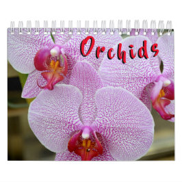 Orquídea calendario de 12 meses