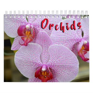Orquídea calendario de 12 meses