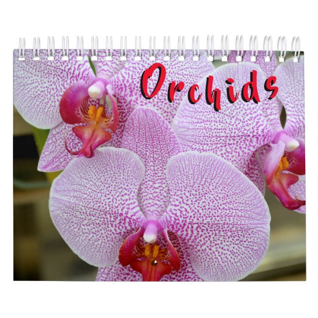 Orquídea calendario de 12 meses (Tapa)