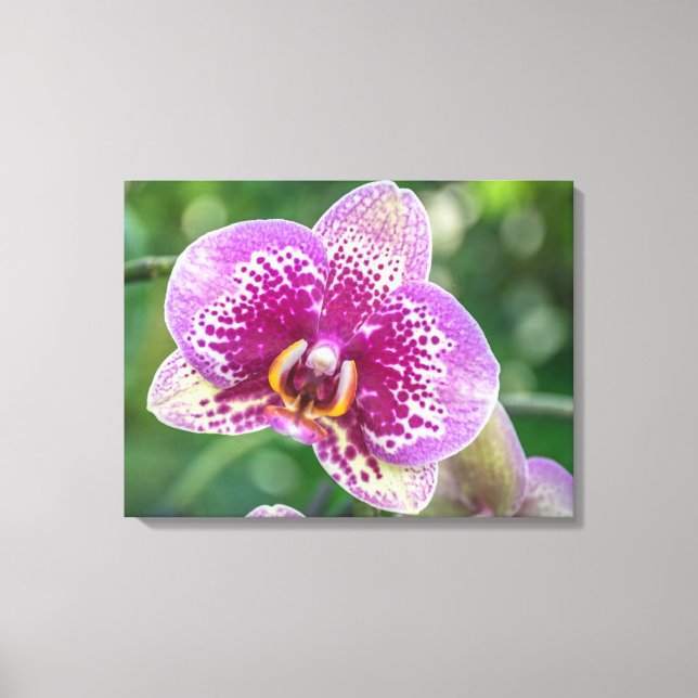 Orquídea cerrando la impresión de lienzo (Anverso)