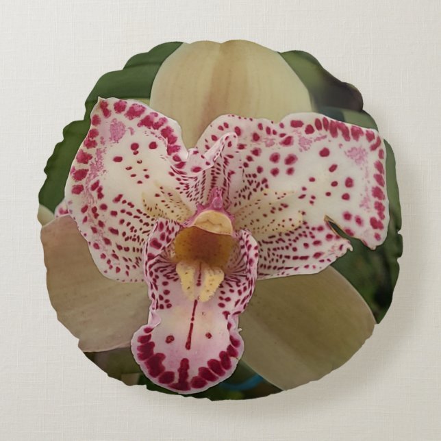 Orquídea de Carlsbad, almohada fotográfica origina (Anverso)