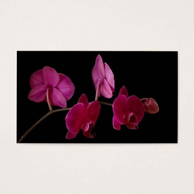 Orquídea de Dendrobium rosa en negro - Personaliza (Frente)