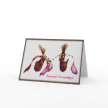 Orquídea de la flor del navidad