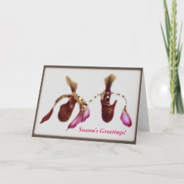 Orquídea de la flor del navidad