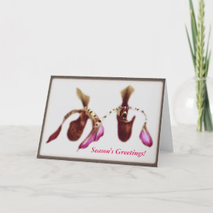 Orquídea de la flor del navidad