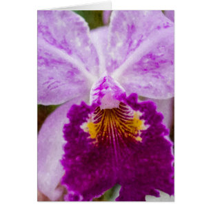 Orquídea de pasión púrpura