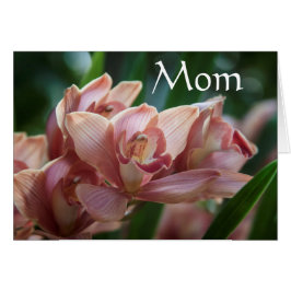 Orquídea de té de leche, mamá