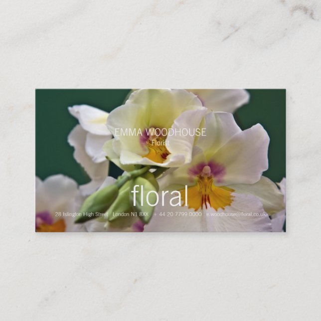 Orquídea del Miltonia • Tarjeta de visita (Anverso)
