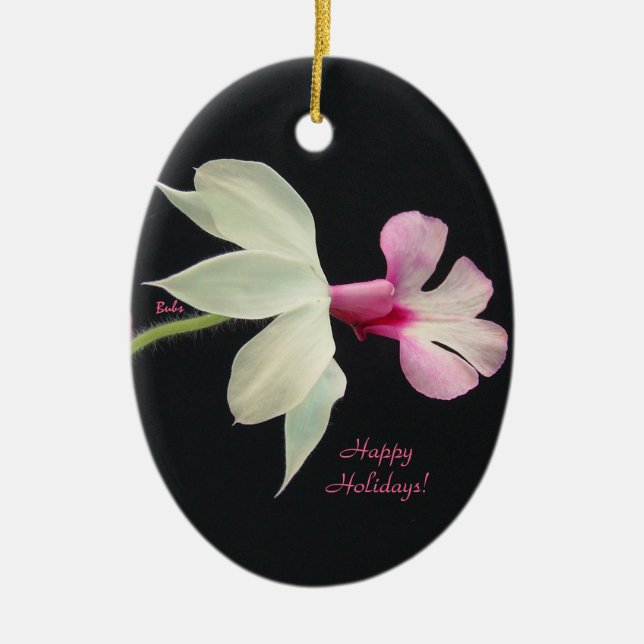 Orquídea del ornamento del navidad (Frente)