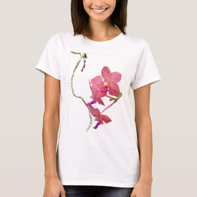 Orquídea del Phalaenopsis - camisa (Anverso)