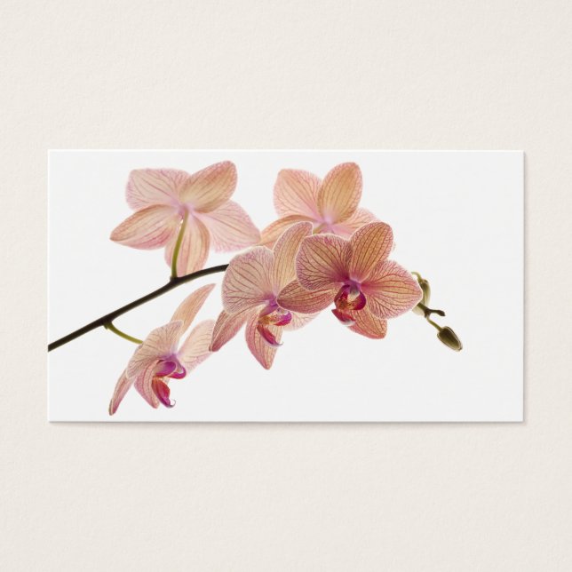 Orquídea Dendrobium rosa y rosa - Personalizada (Frente)