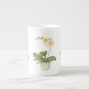 Orquídea en pote verde en taza botánica de la