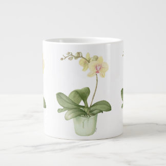 Orquídea en pote verde en taza grande botánica