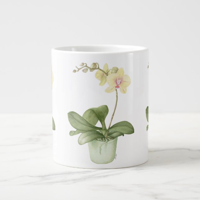 Orquídea en pote verde en taza grande botánica (Frente)