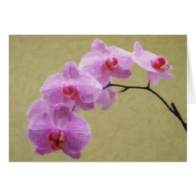 Orquídea Falaenopsis (Anverso (Horizontal))
