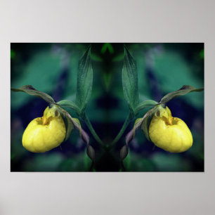 Orquídea Flor Amarilla de Dama Zapatilla Arte de l