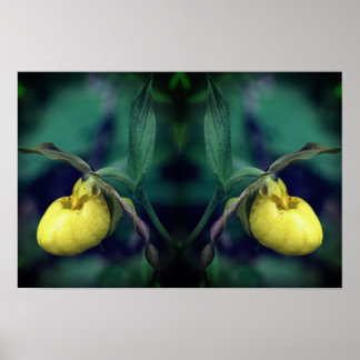 Orquídea Flor Amarilla de Dama Zapatilla Arte de l