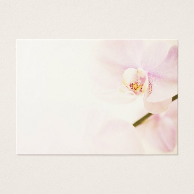 Orquídea - Flor rosa de alta clave - Plantilla flo (Frente)