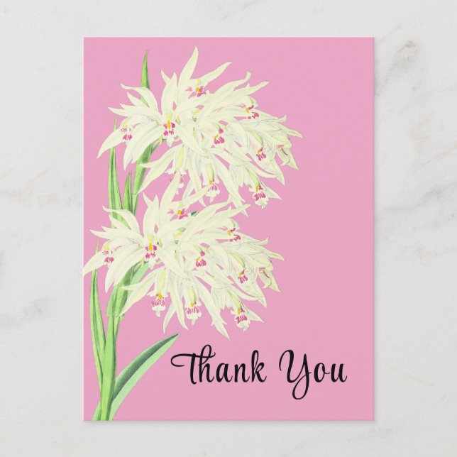 Orquídea Floral Tarjeta de Agradecimiento (Anverso)