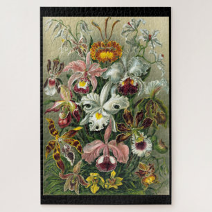 "Orquídea" por Ernst Haeckel Jigsaw Puzzle