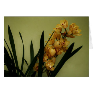 "orquídea" por Larry Coressel