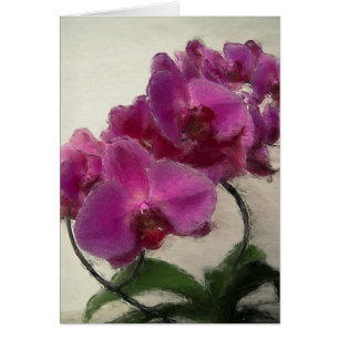 Orquídea púrpura