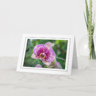 Orquídea púrpura arriba tarjeta de bienvenida cerc