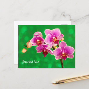 Orquídea Púrpura en Tarjeta Postal Verde