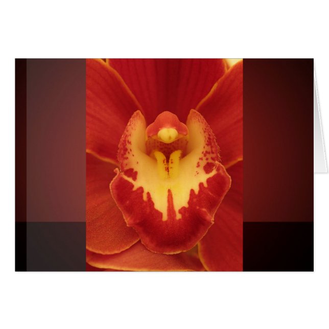 Orquídea Roja (Anverso (Horizontal))