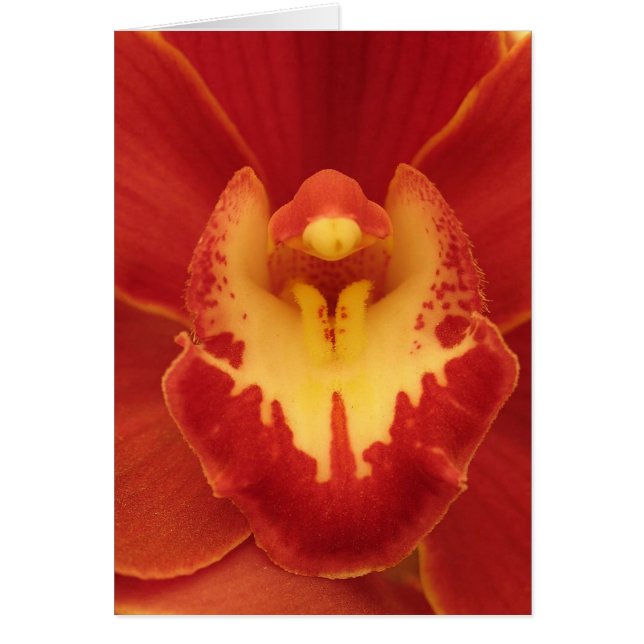 Orquídea Roja (Frente)