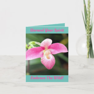 Orquídea Rosa