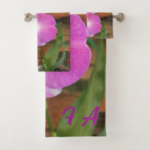 Orquídea rosa de Tippi